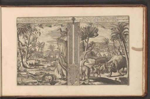 Animals from the West Indies