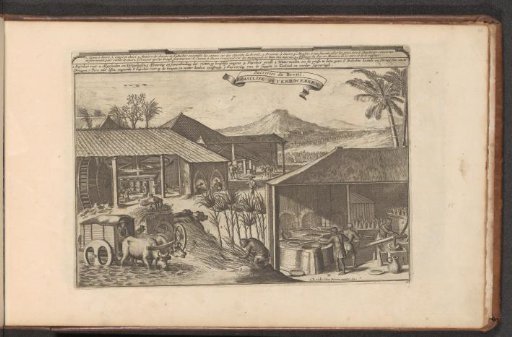 Brazilian Sugar Workers