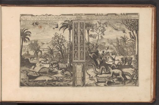 Animals from the West Indies