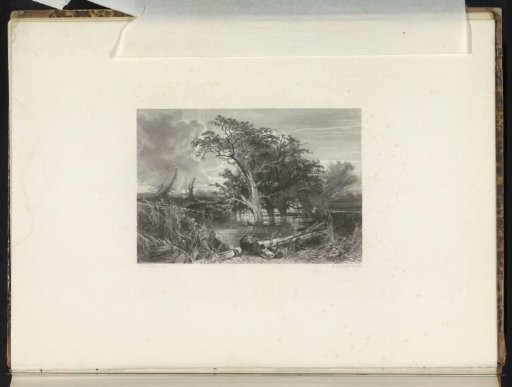 Dutch wild state during prehistory