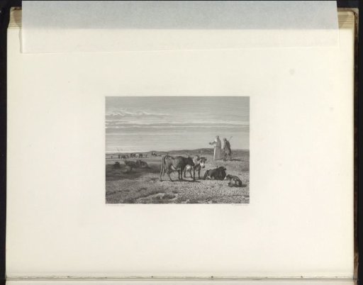 The White Friars in Middelburg graze their cattle in the dunes, 1252