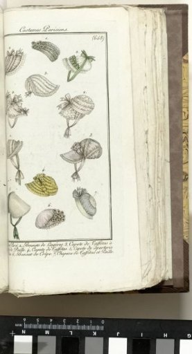 Journal des Dames et des Modes, Parisian Costume, 1805, Year 13 (658) 1. Ornate Hat, 2. Bonnets...