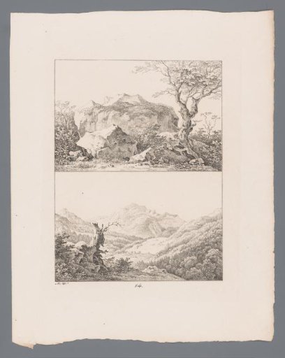Tree near a rock formation and a view of a hilly landscape