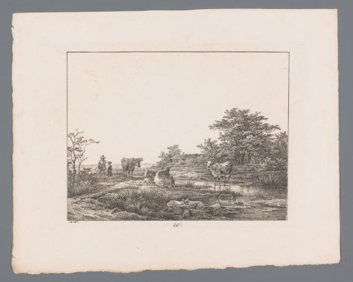 Cows by a bank