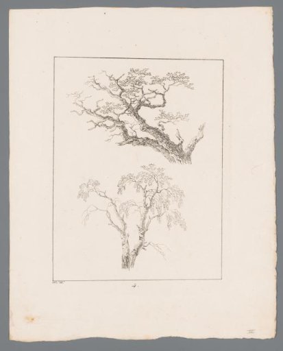 Two Branches