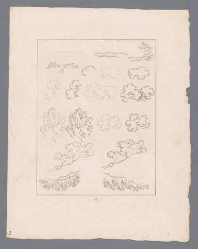 Silhouettes of various branches and shrubs