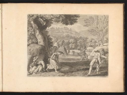 Landscape with the hay harvest