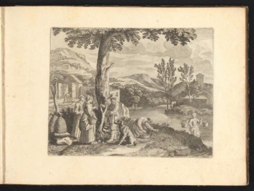 Landscape with the grafting of trees