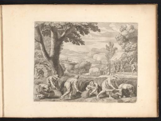 Landscape with the grain harvest