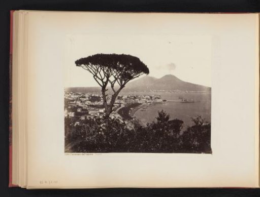 View of Naples, Italy, with a pine tree in the foreground