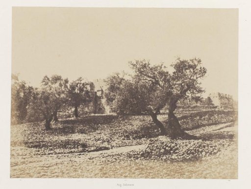 Herod's Gate in Jerusalem