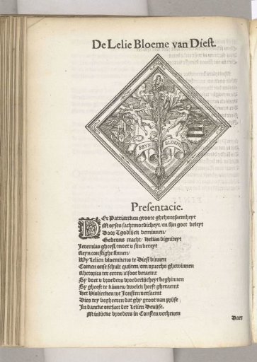 Display of De Lelie (Diest), 1561