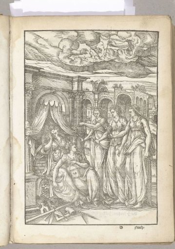 Coat of arms of De Olijftak (Antwerp), 1561