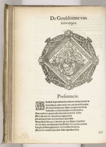 Display of De Goudbloem (Antwerp), 1561