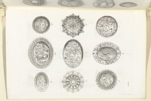Plates, plate XVI
