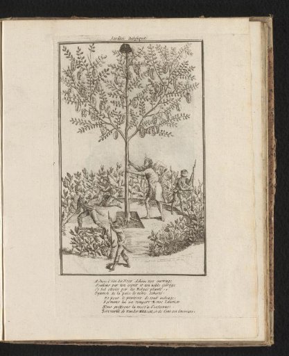 The Belgian Garden: allegory in honor of Van der Noot and Van der Mersch
