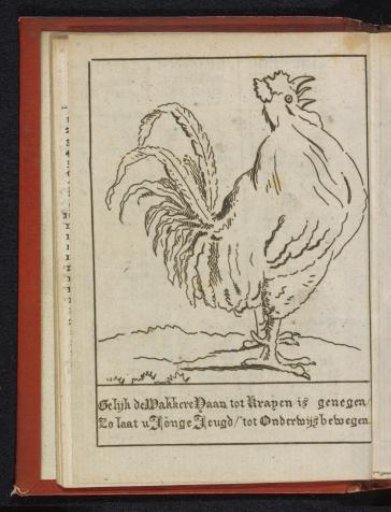 The Wakeful Rooster, 1796