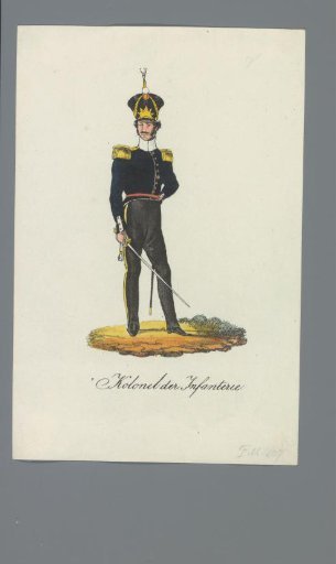 Colonel of the Infantry
