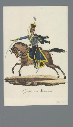 Officer of the Hussars