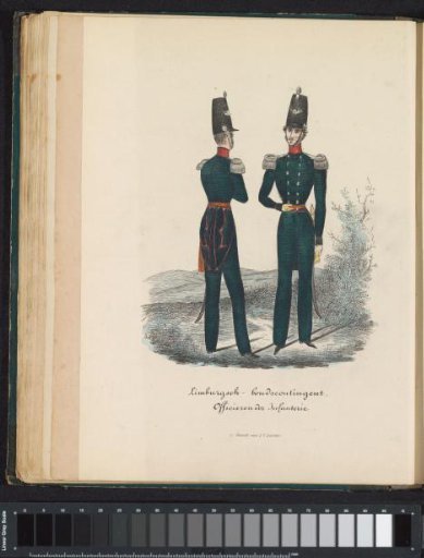 Uniform of the Officers of the Infantry of the Limburg Contingent, 1845