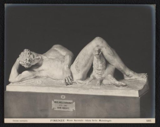 Sculpture of a Dying Adonis by Michelangelo in the Museo Nazionale
