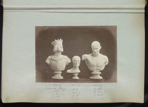 Three plaster casts of busts