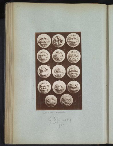 Fourteen plaster heads
