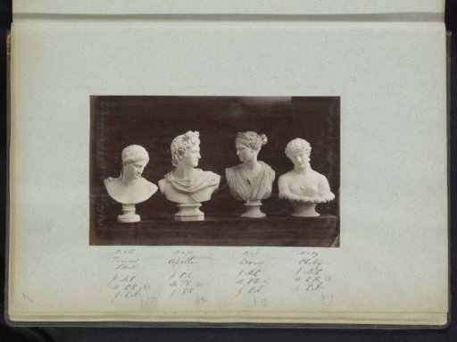 Plaster busts of Venus, Apollo, Diana, and [...]