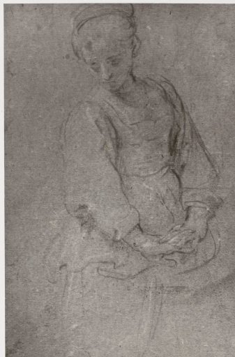 Domenichino, Sorrow