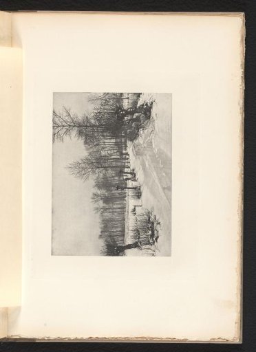 Snowy landscape in Flanders