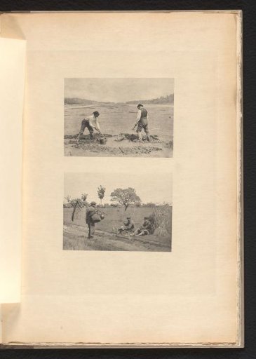 Two shellfish gatherers