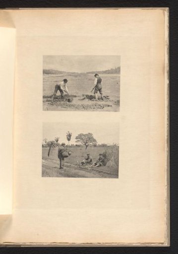 Field workers resting