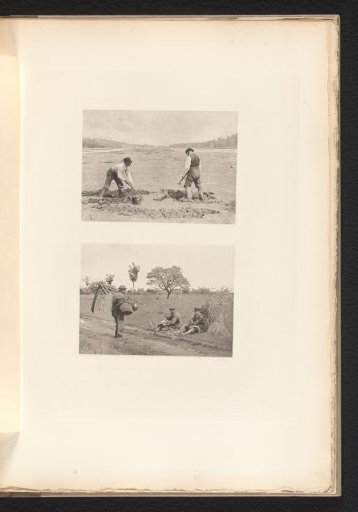 Two shellfish gatherers