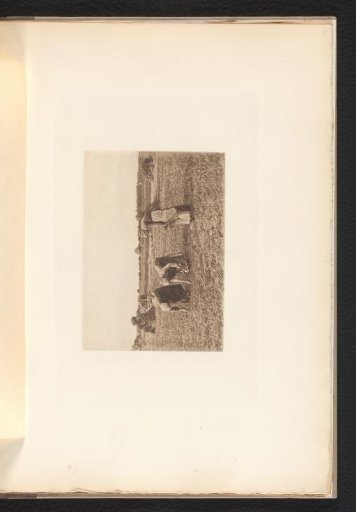 Three Scarecrows in the Field