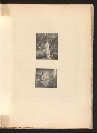 Woman arranging a bouquet