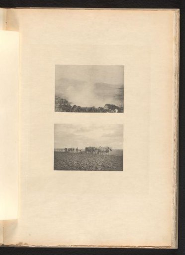Peasants and Oxen Working in the Fields