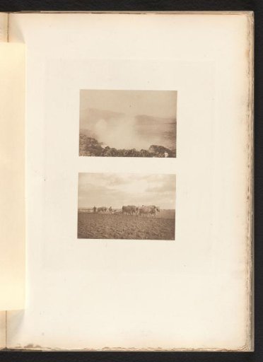 Peasants and Oxen Working in the Fields
