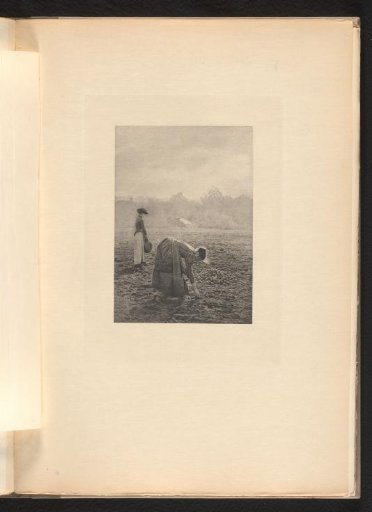 Two Women Digging Potatoes