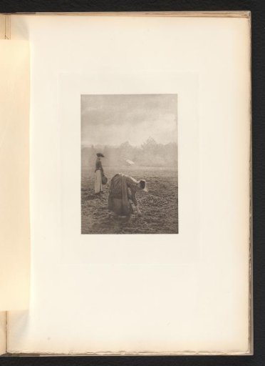 Two Women Digging Potatoes