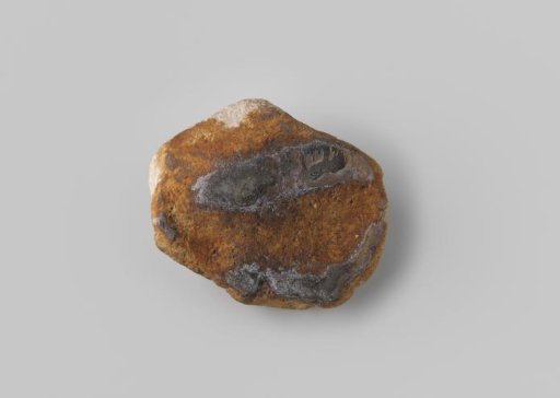 Chunk of grey material with a brown underside