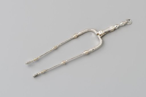 Silver tongs
