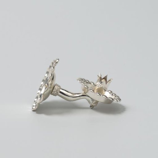 Silver Wall Arm
