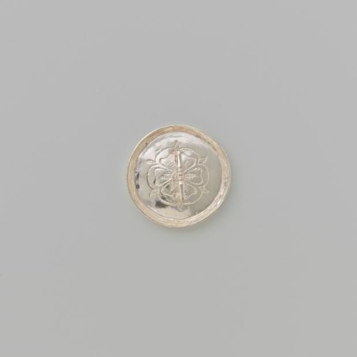 Silver Pan Lid