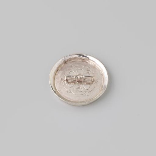 Silver Pan Lid