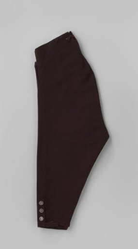 Court Costume or Full Dress Costume