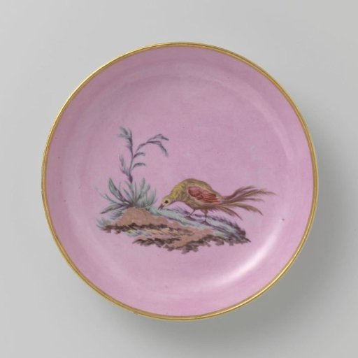 Dish