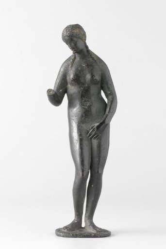 Venus pudica