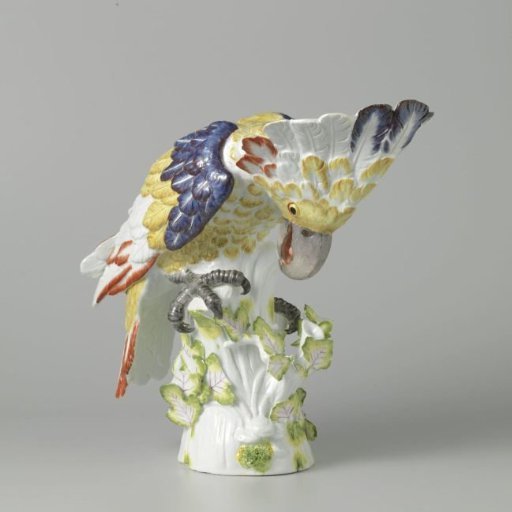 Cockatoo