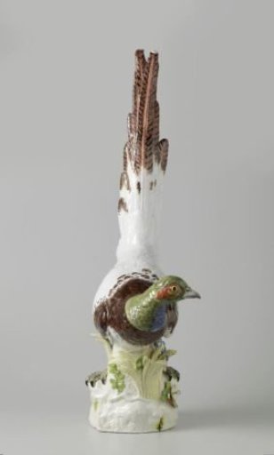 Pheasant