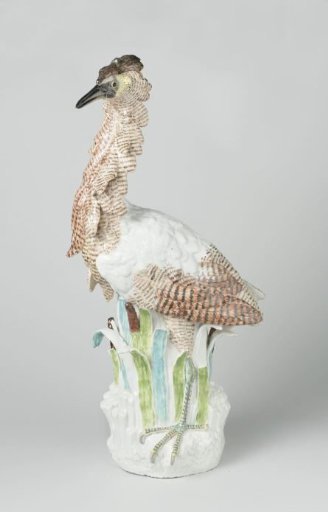 Bittern